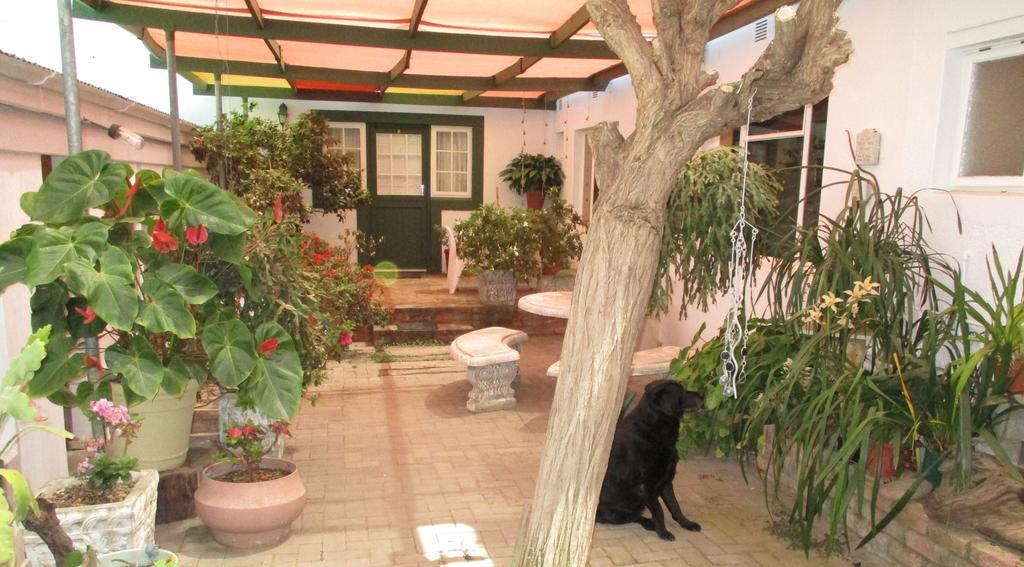 Van Rhyn Guest House Vanrhynsdorp Ngoại thất bức ảnh
